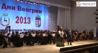 Дни Венгрии в Нижнем Новгороде станут традиционными