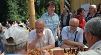 Открытие шахматного павильона в парке Кулибина 11.08.2014