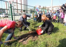 «Аллея здоровья» была  высажена в Автозаводском районе