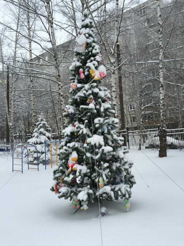 Депутат Сергей Кондрашов подарил детскому саду № 87 новогоднюю елку