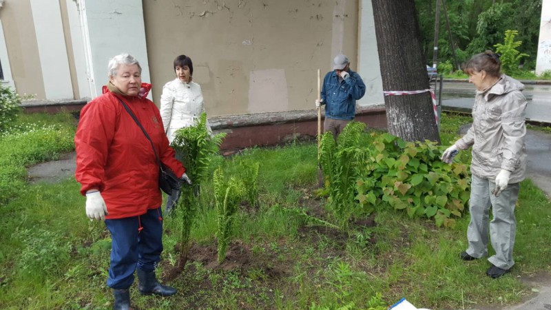 Активисты ТОС поселка Комсомольский приняли участие в экологической акции «Цветочная мозаика»