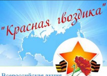 Активисты ТОС микрорайона «Орджоникидзе» приняли участие в акции «Красная гвоздика»