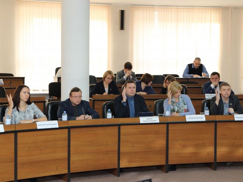 Депутаты обсудили проект Положения о старосте сельского населенного пункта