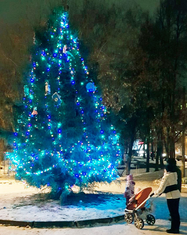 Елена Аржанова организовала установку новогодней елки в Ковалихинском сквере