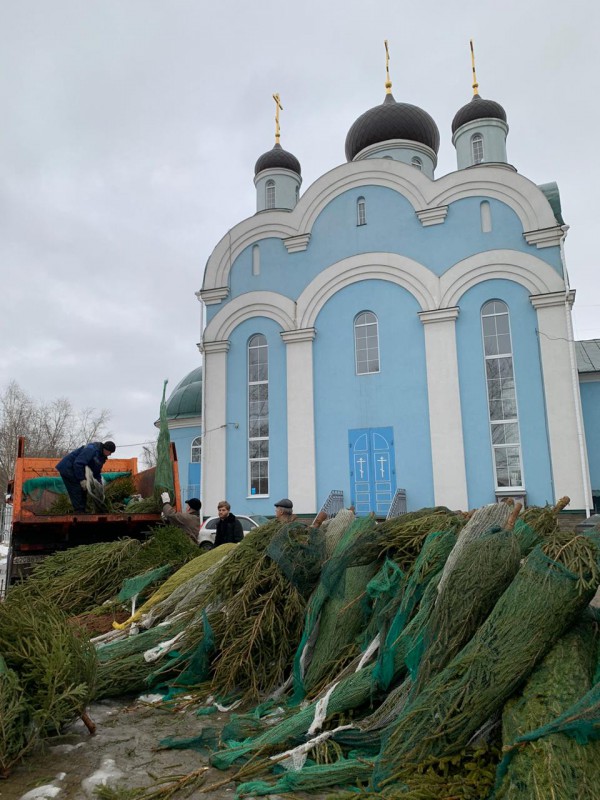 Станислав Прокопович помог храму вывезти невостребованные новогодние елки