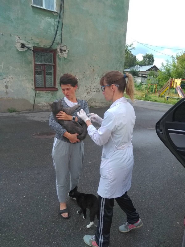 Акция по вакцинации домашних животных состоялась в Сормовском районе