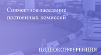 Прямая трансляция совместного внеочередного заседания постоянных комиссий  по бюджетной, финансовой и налоговой политике и по местному самоуправлению 31.08.2020