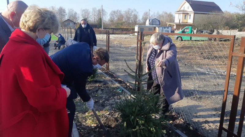 Проект «Хвойный город» в Приокском районе