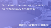 Прямая трансляция заседания постоянной комиссии по городскому хозяйству 21.10.2020