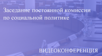 Прямая трансляция заседания постоянной комиссии по социальной политике 26.10.2020