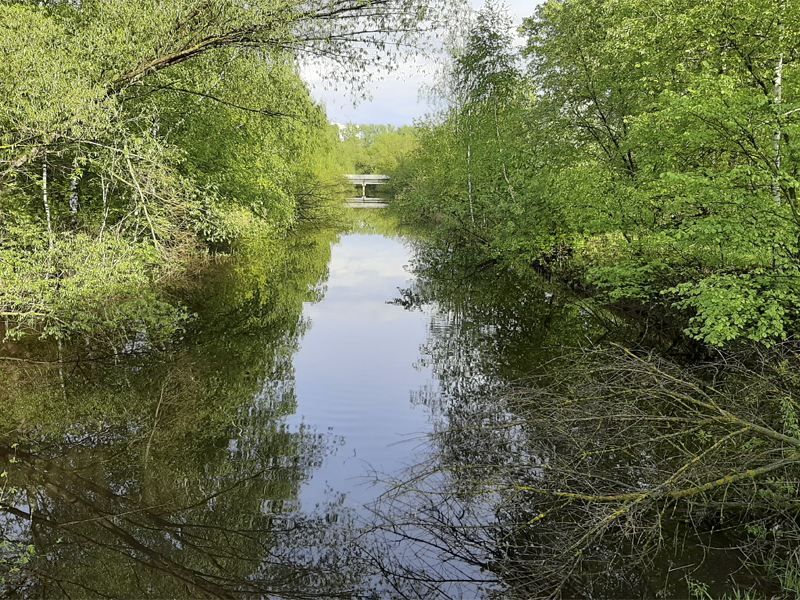 Включение Ржавки в госпрограмму по расчистке малых рек обсудит комиссия Думы по экологии