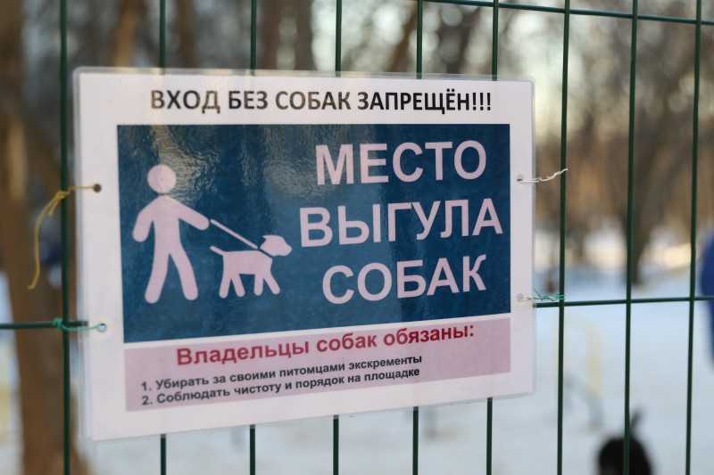 Депутаты считают необходимым увеличить количество площадок для выгула собак в Нижнем Новгороде