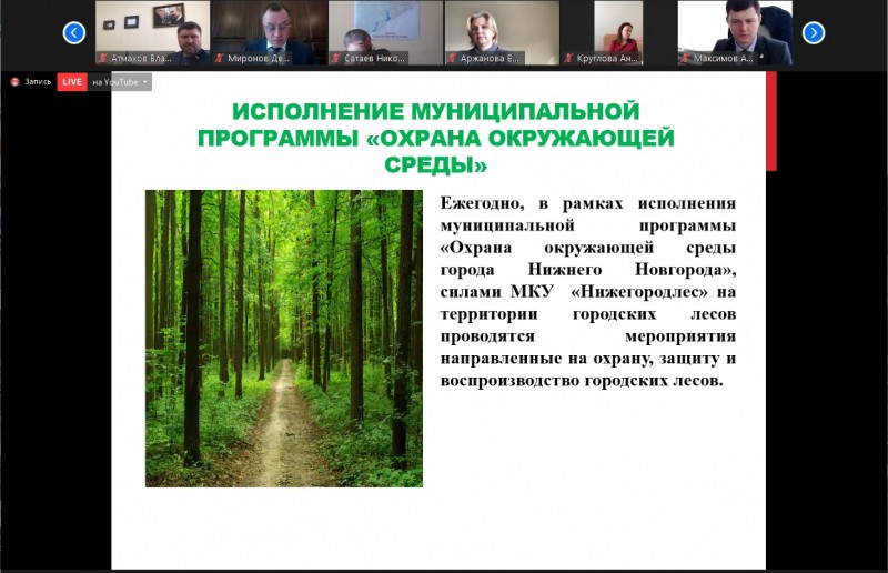 Комиссия Думы по экологии на выездном совещании проверит состояние городских лесов