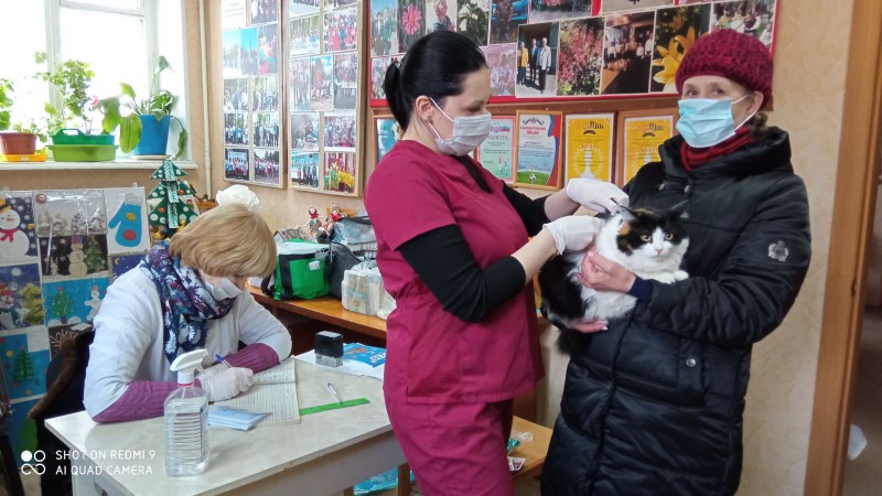 Ежегодная бесплатная вакцинация домашних животных прошла в помещение Совета ТОС «Агрокомбинат «Горьковский»