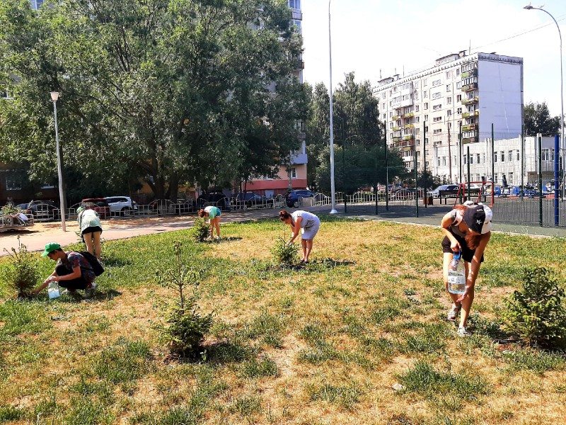 В Верхних Печерах спасают зеленые насаждения