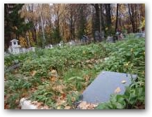   &raquo; Click to zoom ->