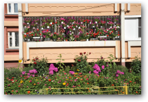   &raquo; Click to zoom ->