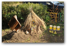   &raquo; Click to zoom ->