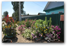   &raquo; Click to zoom ->