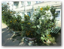 Ереванская, 2-5  &raquo; Click to zoom ->