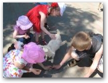   &raquo; Click to zoom ->