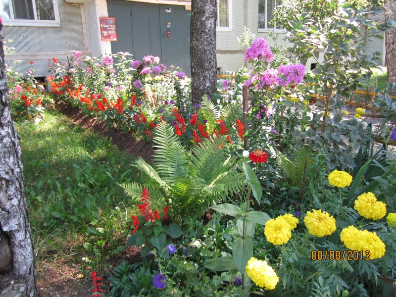 Комиссия городского конкурса «Лучший Совет общественного самоуправления» оценила объекты благоустройства ТОС Сормовского района