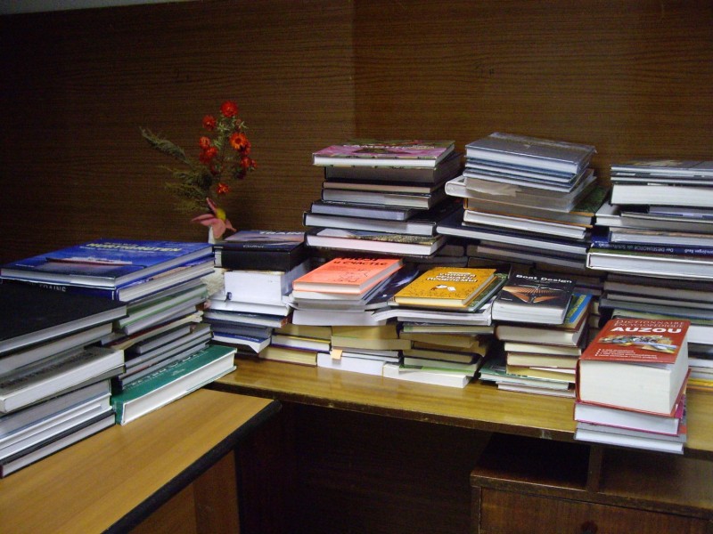 «Дни добра» в ТОС центра Сормова и микрорайона Вождей революции