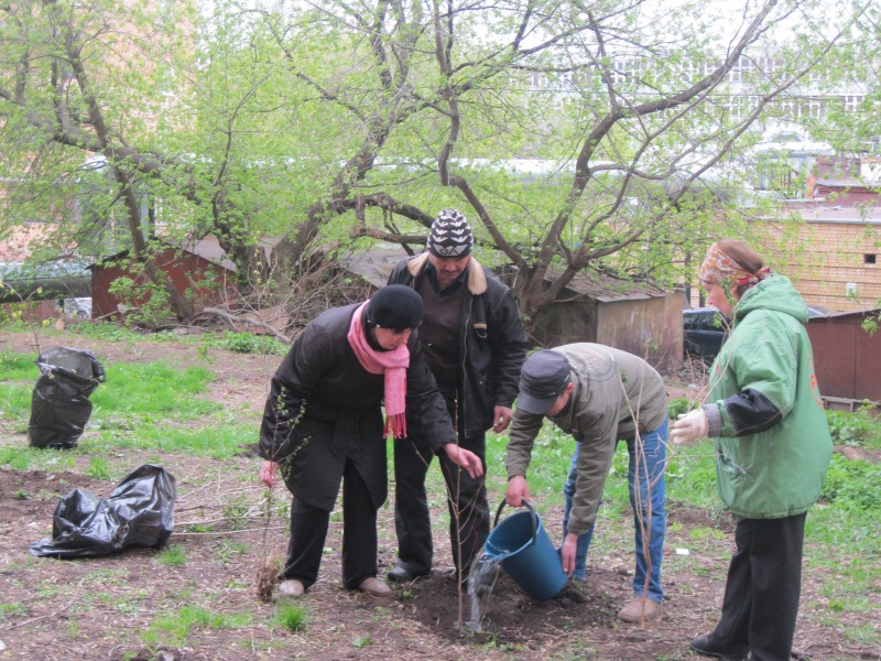 Жители микрорайона Горьковский благодарят депутата В.Е. Агафонову за помощь в приобретении саженцев