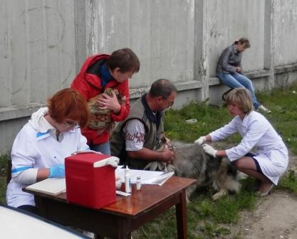 Акция «Четвероногий друг» проходит в ТОС поселков Высоково и Дубравный