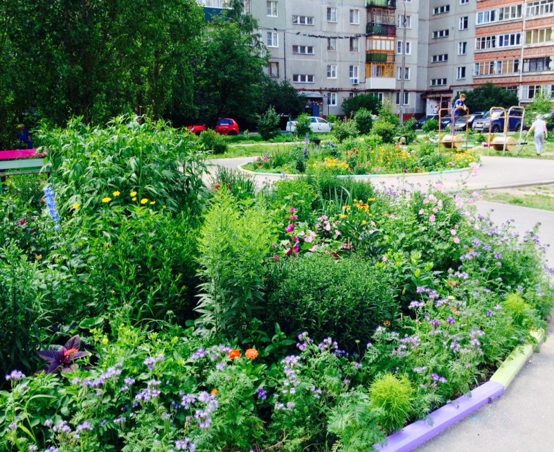 Благодарность депутату Игорю Тюрину от жителей улицы Акимова за благоустройство двора