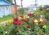 Старт городскому конкурсу «Лучший Совет общественного самоуправления города Нижнего Новгорода» дан