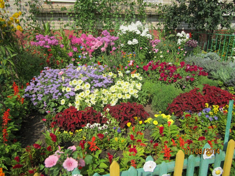 Конкурс на лучший совет общественного самоуправления шагает по районам