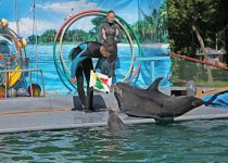 Приятный подарок к новому учебному году в ТОС поселков Высоково и Дубравный и ТОС поселка Светлоярский и 7-го микрорайона