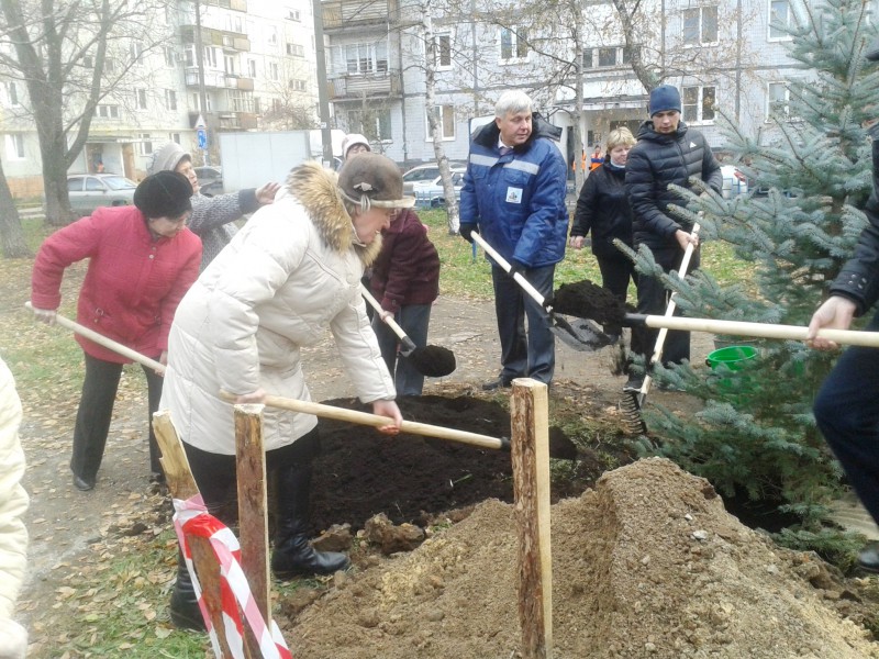 В преддверии Дня народного единства депутат Н.М. Шумилков организовал в Сормове посадку деревьев