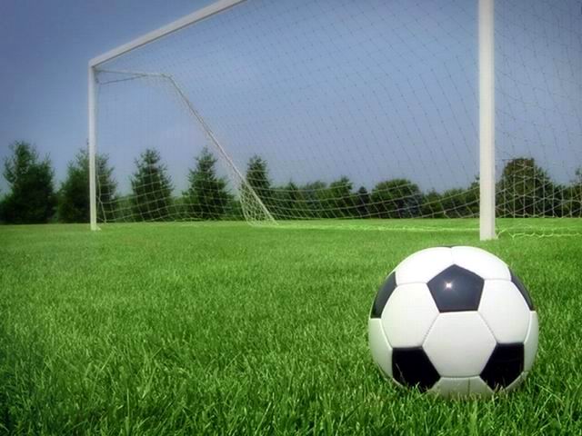 Молодежная палата проведет турнир по мини-футболу ко Дню защиты детей
