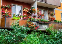 Олег Сорокин наградит лучших представителей Советов общественного самоуправления