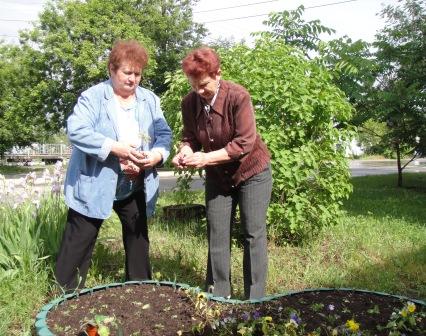 Акция «Поделись рассадою своей» прошла в ТОС поселка Комсомольский
