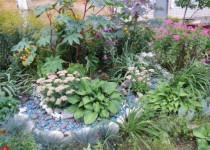 Завершился объезд районной конкурсной комиссией участников  – жителей Автозаводского района, подавших заявки на участие в конкурсе  «Я здесь живу, я здесь творю!»