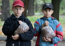 Председатель комиссии по экологии Михаил Кузнецов  поддержал природоохранный проект Молодежной палаты «Возрождение дубрав»
