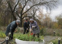 Новость одной строкой