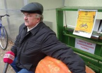 Самая большая тыква