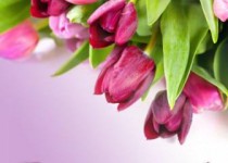 Семья Гальяновых отметила 65 лет совместной жизни.