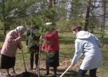 Участие активистов в открытии «Аллеи памяти»