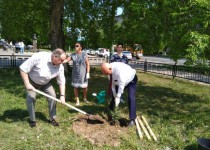 Владимир Аношкин отметил положительную тенденцию участия молодежи в озеленении Автозаводского района