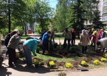 Проект «Цветущий город» в Сормовском районе
