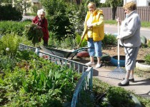 Жители ТОС поселок Сахарный Дол благоустраивают территорию