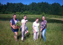 Новая жизнь Копосовской дубраве