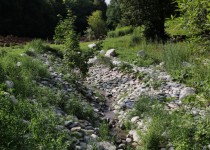 18 июля 2019 года