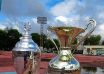 При участии Василия Пушкина в Автозаводском районе пройдет «Праздник школьных эстафет»