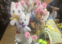 В ТОС Б.Корнилова проведено занятие кружка.